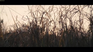 قسمت اول فصل اول سریال پاچینکو +زیرنویس فارسی Pachinko 2022 با بازی لی مین هو-1080p