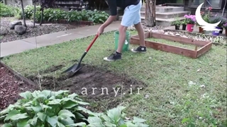 چگونه برای گل ها در باغچه جعبه بسازیم؟