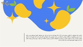 اسانس انبه چیست و چه کاربردی دارد؟