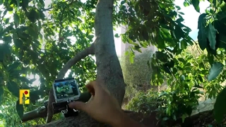 نماهنگ - حزب الله لبنان آماده هر نوع احتمالی برای مقابله با دشمن صهیونی است - طوفان الاقصی