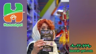 بهترین پروبیوتیک سگ و گربه