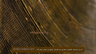 یه تیزر تبلیغاتی فوقالعاده برای کافه ویچار آماده کردیم!