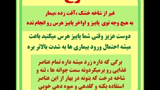 هرس پاییزه ممنوع 