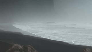 آهنگ ، همه زندگیمی دلیل دیوونگی می