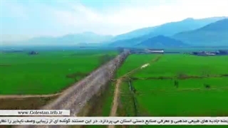 نگارستان - شهر تی وی