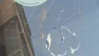 اخبار خودرو