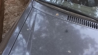 اخبار خودرو