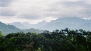 فیلم هرگز رها نکن Never Let Go