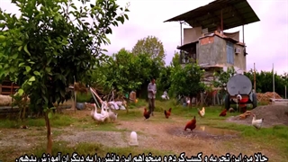 ارگانیک - روستا آنلاین