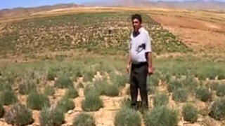 روستای موفق - روستا انلاین