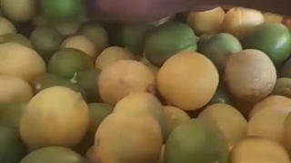 ابگیر تمام استیل لیمو۰۹۱۳۸۸۰۳۱۰۱