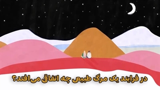 در فرایند یک مرگ طبیعی، چه اتفاقی میافتد؟