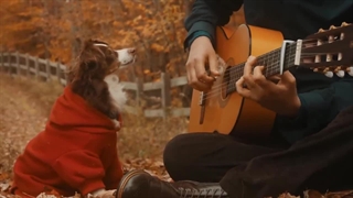 موزیک بی کلام /جایی که فقط ما می دانیم/Somewhere Only We Know