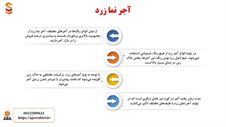 آجر زرد چیست و چه کاربردی دارد؟| راهنمای خرید آجر زرد