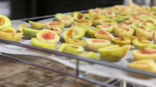 خشک کردن هلو با دستگاه میوه خشک کن اسوه 09138900047