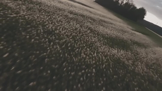 آهنگ ترکی امان امان