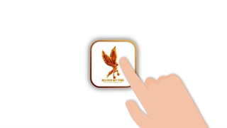 Social Media Management Services