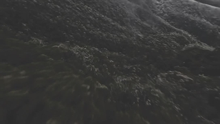 آهنگ بله رو بگو ای یار