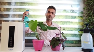 روشهای تأمین رطوبت گیاهان آپارتمانی
