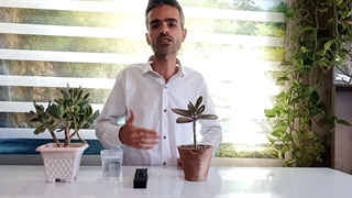 سختی و شوری(EC) آب و بستر کشت چیه و چرا مهمه؟