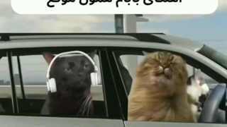 اخه چه کرمی دارین ها