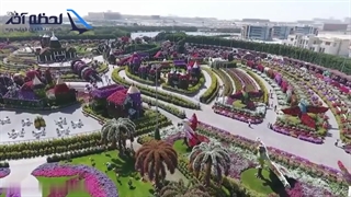 بهشت گل‌ها در قلب کویر | با تور دبی به باغ معجزه دبی سفر کنید!