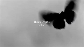 ⋆کپشن مهم ⚡︎