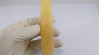 منشور سنگ کلسید 3