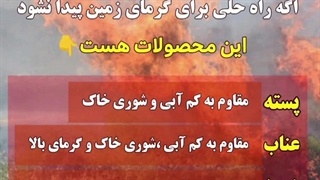 کاشت درختان مقاوم به گرما، شوری و کم آبی ۰۹۱۳۸۵۱۱۹۹۷