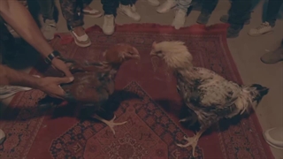 موزیک ویدیو لاری کاری خفن از آرش توس و با هنرمندی ایرج الهی بازیگر