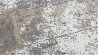 فرش مینیمال رنگ روشن مدرن در فروشگاه اینترنتی صفافرش