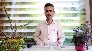 بهترین آب برای آبیاری گیاهان آپارتمانی چیه؟