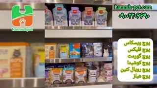 خرید و قیمت پوچ گربه