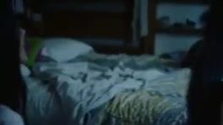 کارتون شقایق