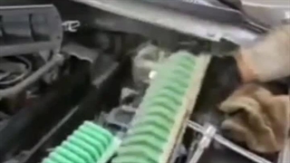 نصب فیلترهوای سبز در اتوسرویس