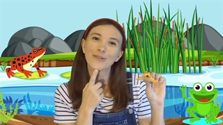 Animaux - Apprendre Gros et Petit