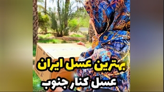 بهترین عسل ایران، عسل کنار ایرانی