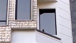 رنگ آمیزی نمای ساختمان