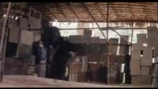 فیلم سینمایی فرشتگان آهنین ۲:آتش ققنوس اژدهای دیوانه