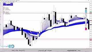 استراتژی ترید با وین ریت بالا در ارز دیجیتال‫ - رنگین کمون فرصت ها در رمز ارزها