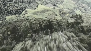 آهنگ بله رو بگو ای یار