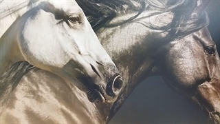 تابلو اسب لوکس مشکی