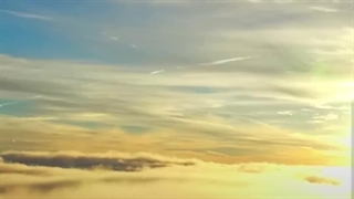 استاد پناهیان: امام هدایت