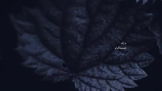 به قدری خسته ام...