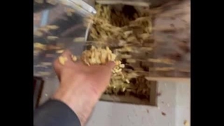 بادام زمینی دستگاه پوستکن بادام زمینی سفیدکن