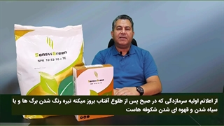 راهکار های مقابله با سرمازدگی در کشاورزی