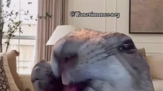 واکنش کودکان نسبت به دعوا والدین،فانکده