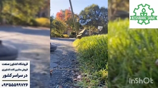 علف‌زن‌ها: انتخاب مناسب برای باغ و باغچه- کشاورز صنعت