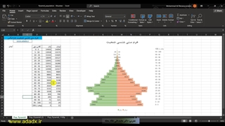 Excel هرم سنی جمعیت آماده