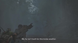 اکانت قانونی Monster Hunter Wilds